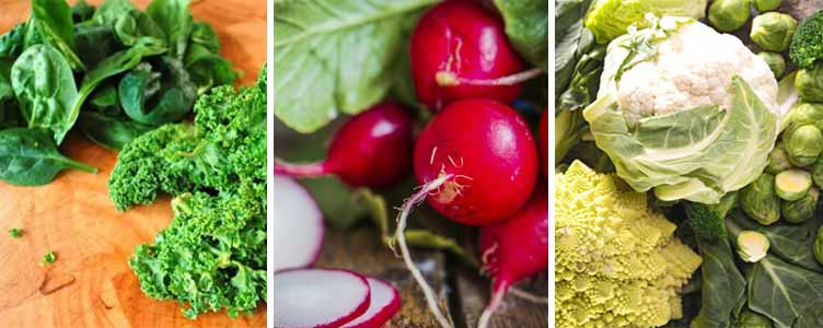 alzheimer's diet vegetables