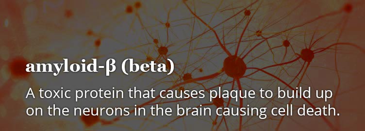 amyloid beta neurons alzheimers