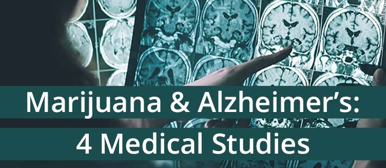 marijuana effects alzheimers